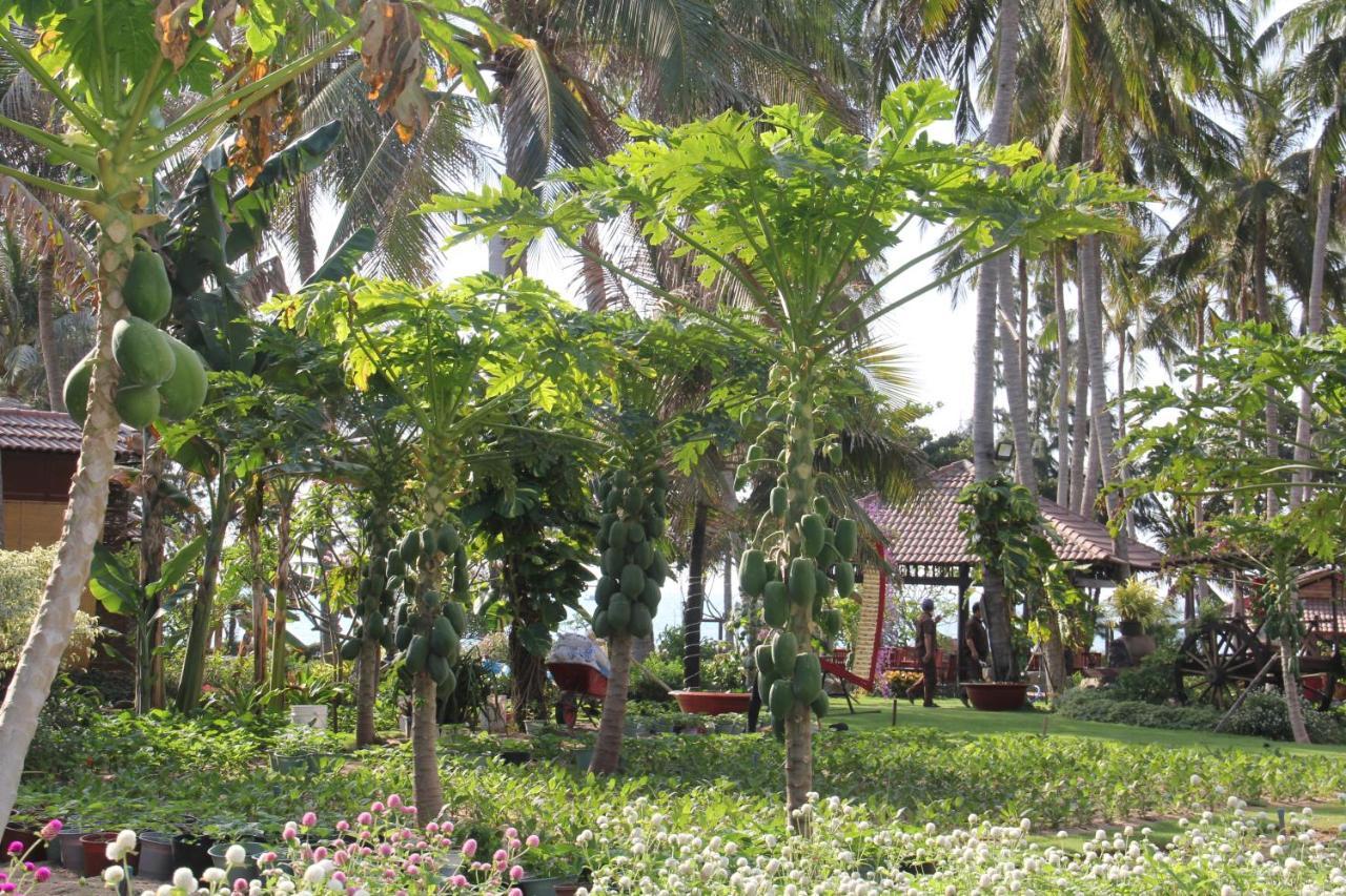 Ca Ty Muine Beach Resort & Spa Mui Ne Exterior photo